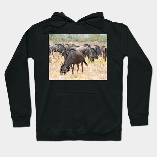 A herd of Wildebeest Hoodie by Steves-Pics